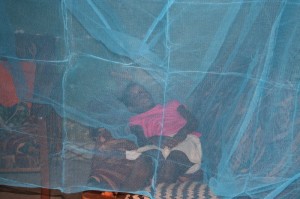 Sarah Campbell - lying on her bed - under her net