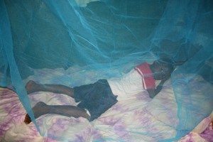 Alpha - under new net