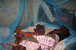 Doranatu relaxing under her new net